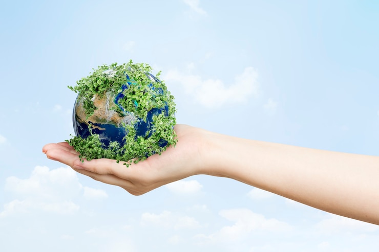 Студенты из Владимирской области могут получить стипендию за научную работу по охране окружающей среды