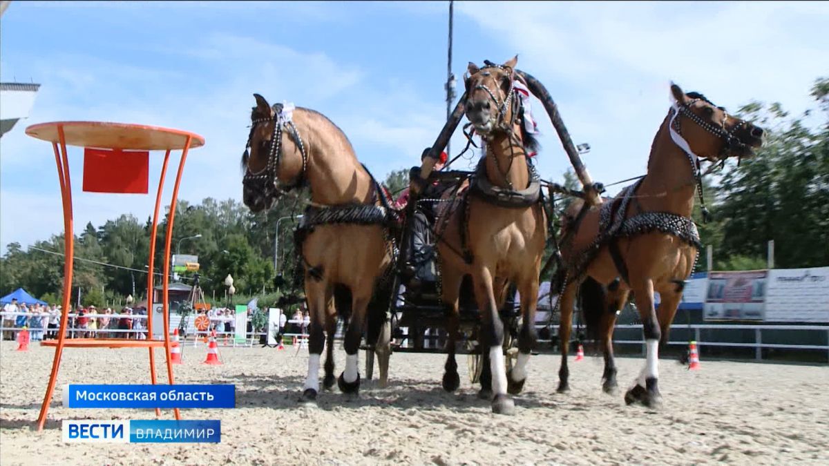 Русская тройка из Петушинского района представила Владимирскую область на конном турнире в Москве