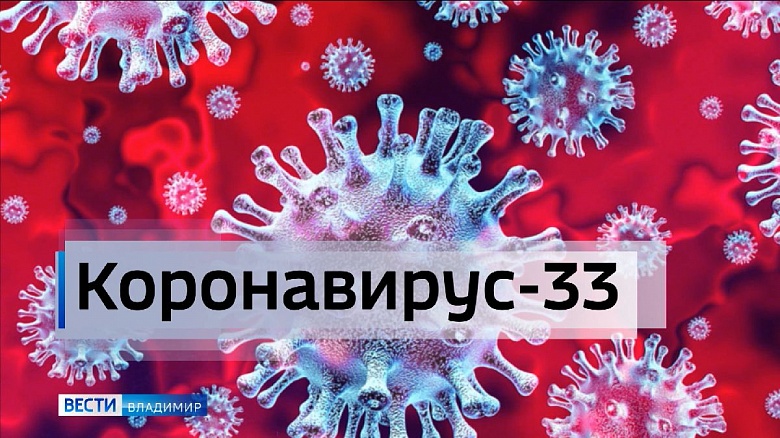 Еще 33 человека во Владимирской области заболели коронавирусом за сутки
