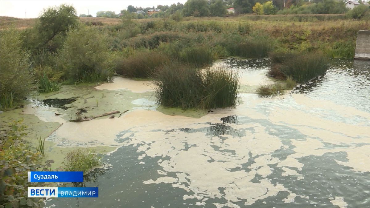 Министерство экологии сочло состояние реки Каменки в Суздале удовлетворительным