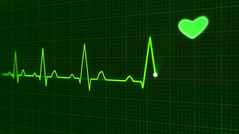 В Гороховецкую ЦРБ поступили электрокардиографы и аппарат для холтеровского мониторирования сердца