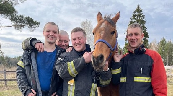 Во Владимирской области пожарные отстояли конюшню с лошадьми от горящей травы