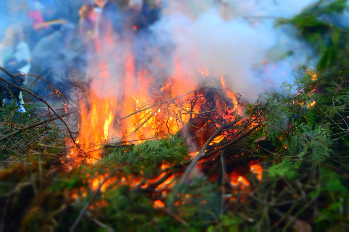 ﻿За сутки во Владимирской области произошло три лесных пожара