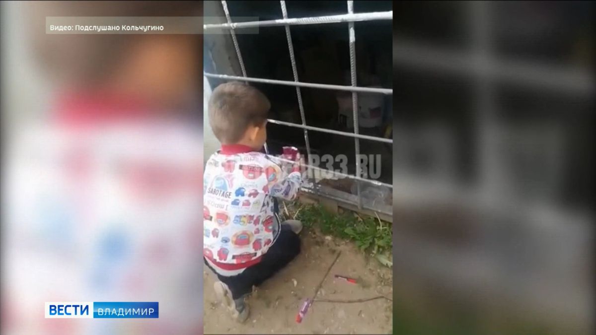 Во Владимирской области на видео попал добрый поступок 8-летнего малыша