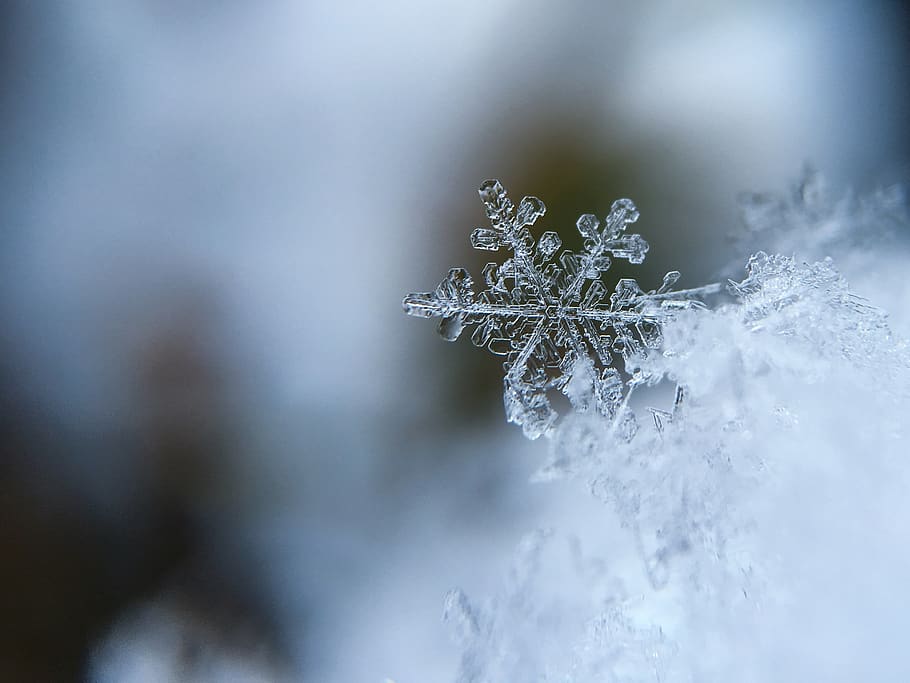 Во Владимирской области 28 января, по прогнозам синоптиков, ожидается облачная погода, до 5 градусов мороза