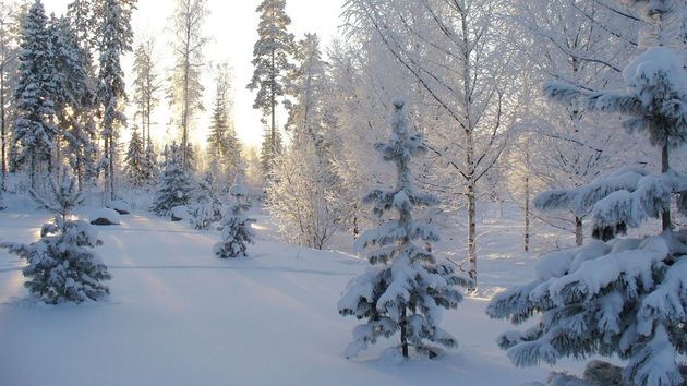 Во Владимирской области в феврале синоптики прогнозируют снегопады с высотой сугробов до 50 сантиметров