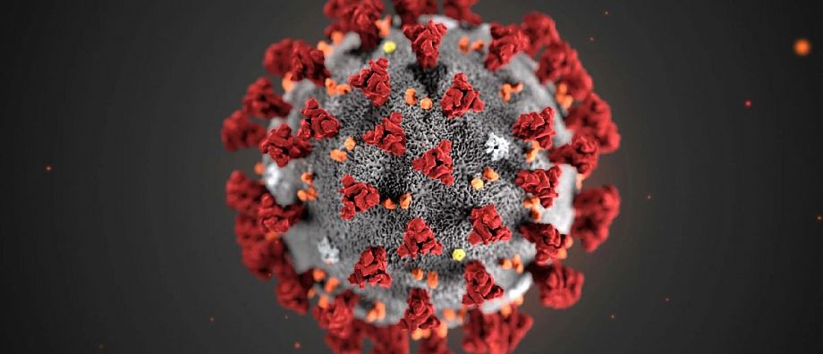 За сутки в 33 регионе от коронавирусной инфекции скончались еще 8 человек