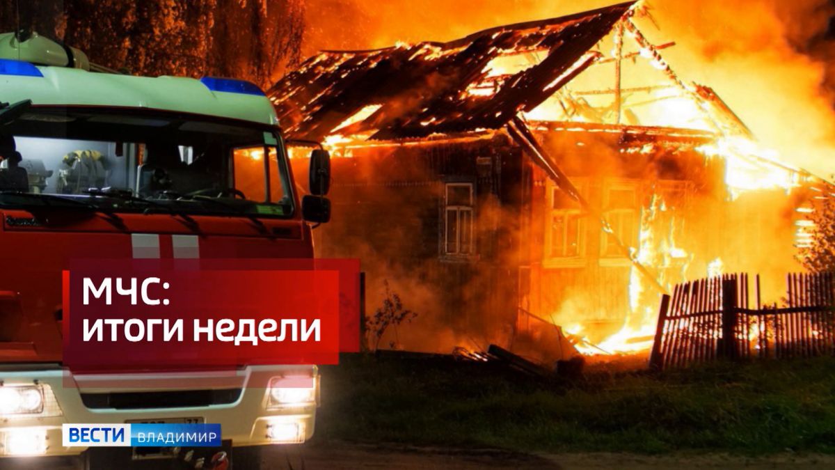 МЧС по Владимирской области: истории спасения детей и зрелищные соревнования по пожарно-прикладному спорту
