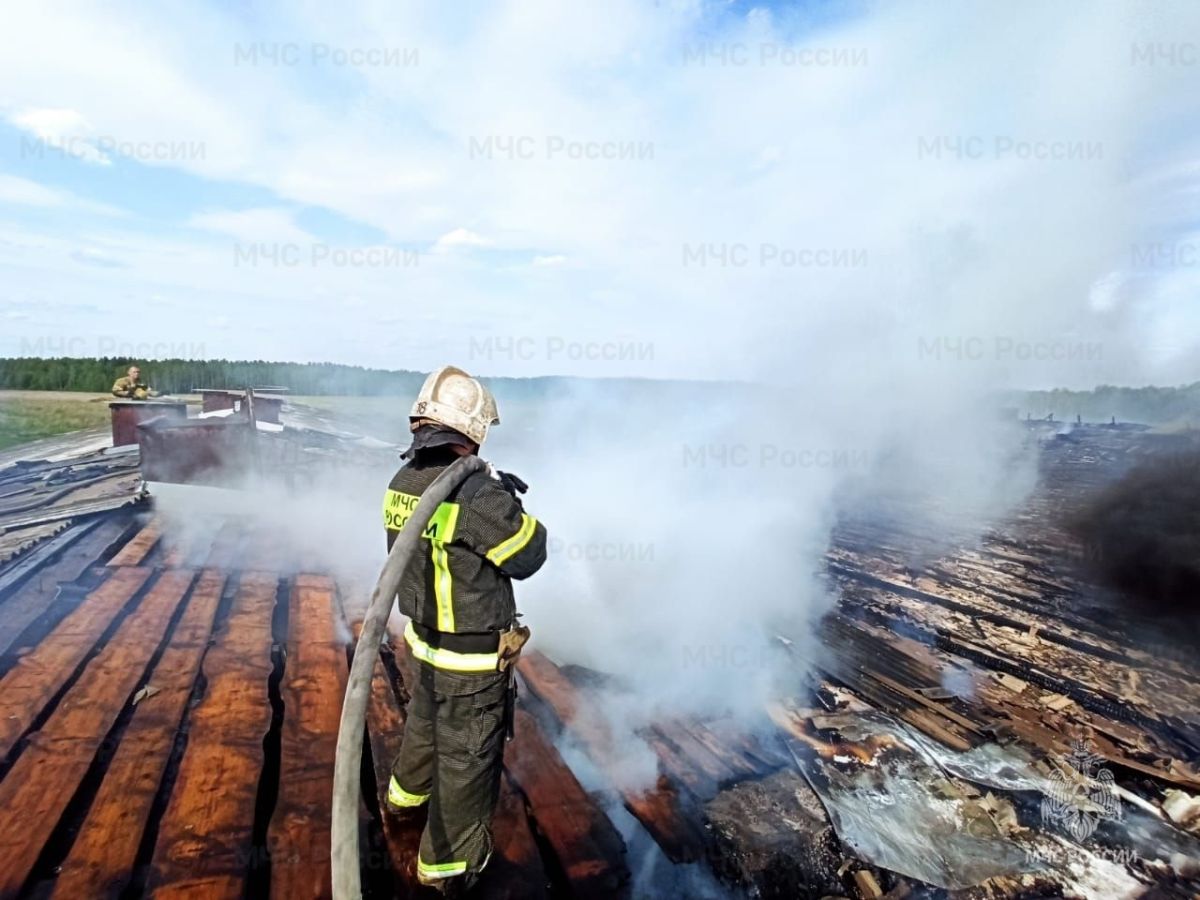 В Вязниковском районе загорелась ферма