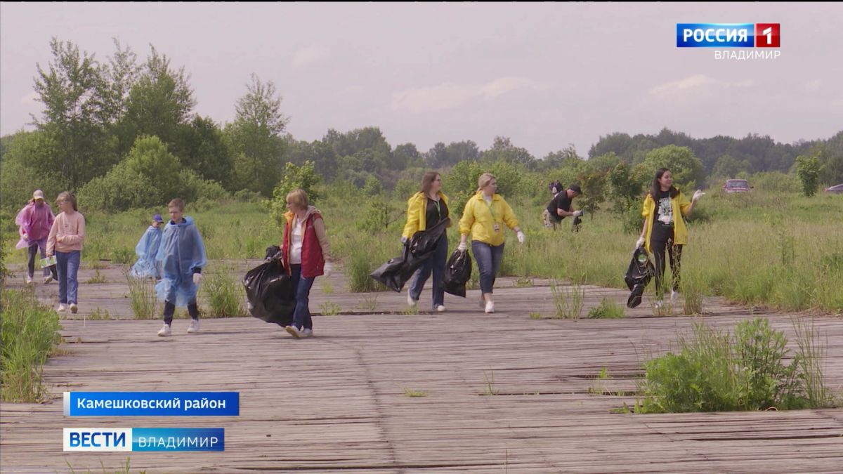  В честь Всемирного дня окружающей среды во Владимирской области прошла экологическая акция «Чистое озеро»