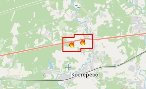 Масштабный очаг возгорания зафиксирован у трассы М-7 в Петушинском районе 