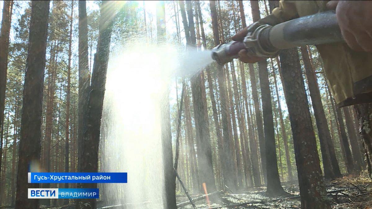 К западной границе Владимирской области подходит лесной пожар
