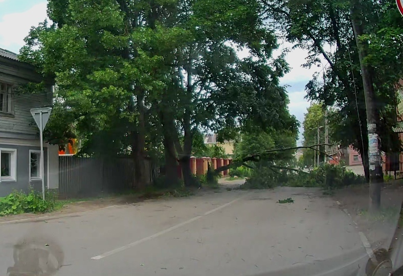 Во Владимирской области гроза привела к падению деревьев и локальным отключениям электричества