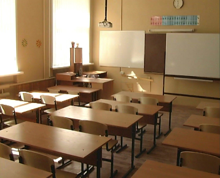 На время выборов владимирским школьникам предложат дистанционное обучение либо внеурочную деятельность