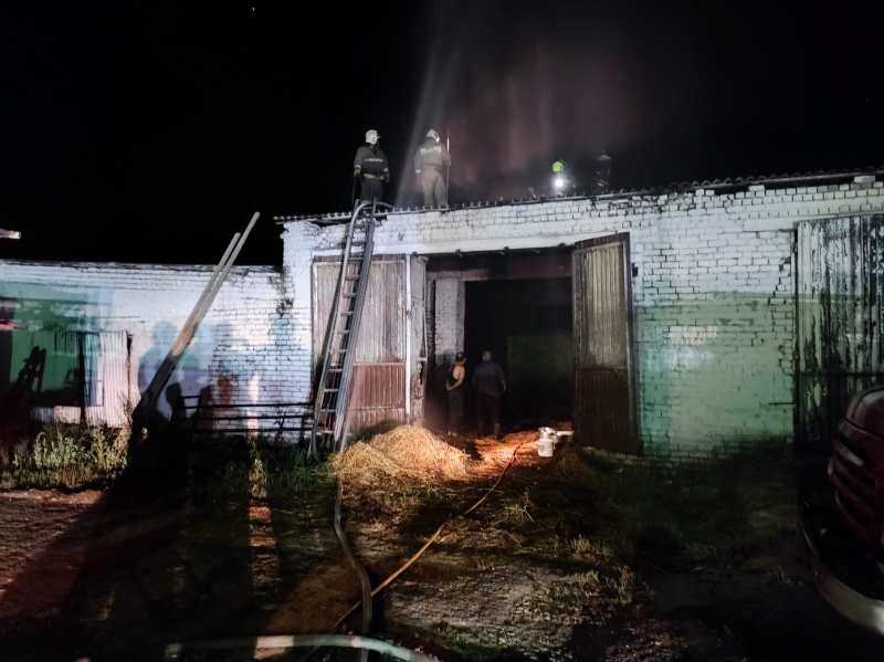 Дознаватели МЧС устанавливают причину пожара на ферме в Ковровском районе
