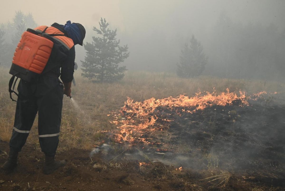 Во Владимирской области ситуация с лесными пожарами стабилизируется