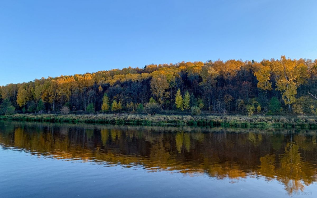 Во Владимирской области 25 октября синоптики прогнозируют ясную погоду, до 5 градусов тепла