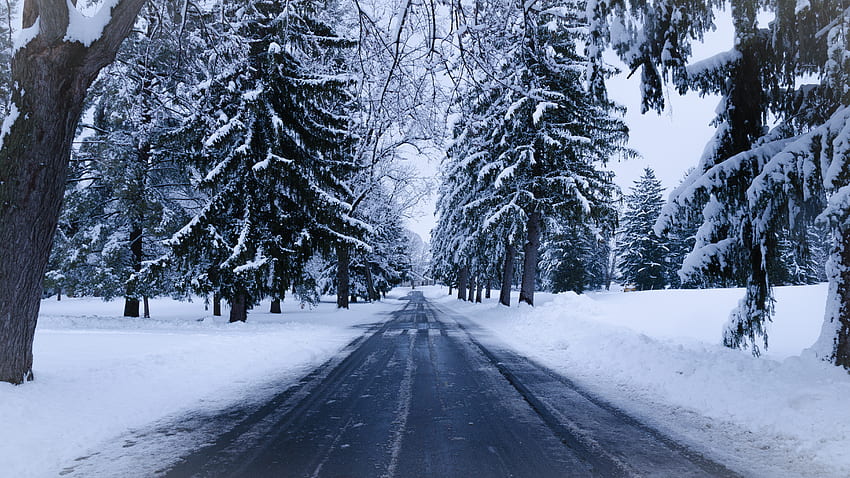 Во Владимирской области, по прогнозам синоптиков, 19 января будет идти мокрый снег