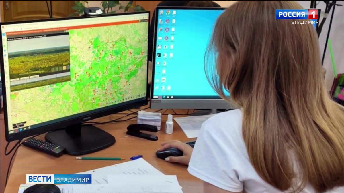 Во Владимирской области предотвращать лесные пожары помогает искусственный интеллект