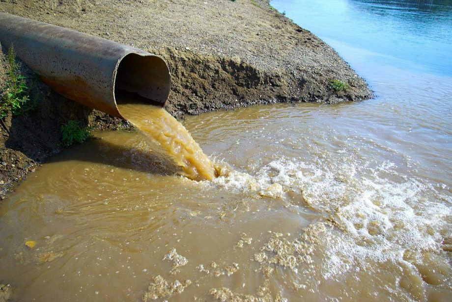 В Муроме возбуждено уголовное дело по факту загрязнения реки биоотходами