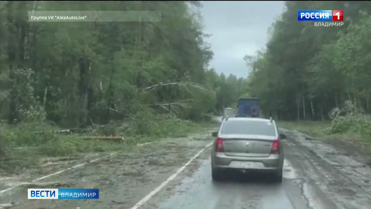 Во Владимирской области устраняют последствия обрыва линий электропередачи после урагана