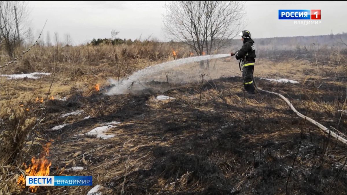 Губернатор Владимирской области Александр Авдеев дал поручение сплотить усилия в деле предупреждения пожаров