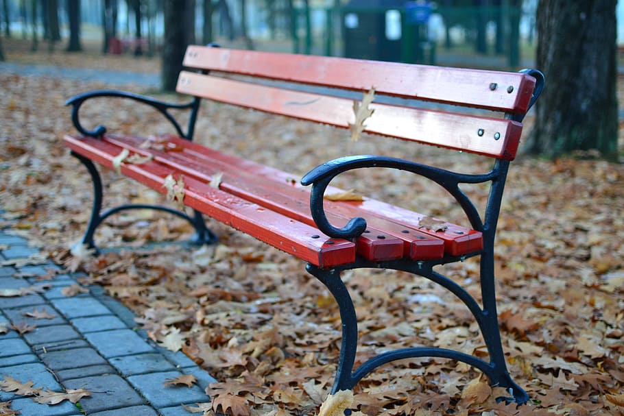 В Муроме вандалы разгромили скамейки и урны в парке