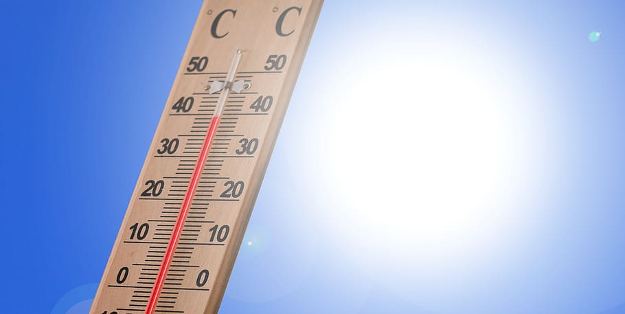 По прогнозам синоптиков жара во Владимирской области продержится до 21 августа