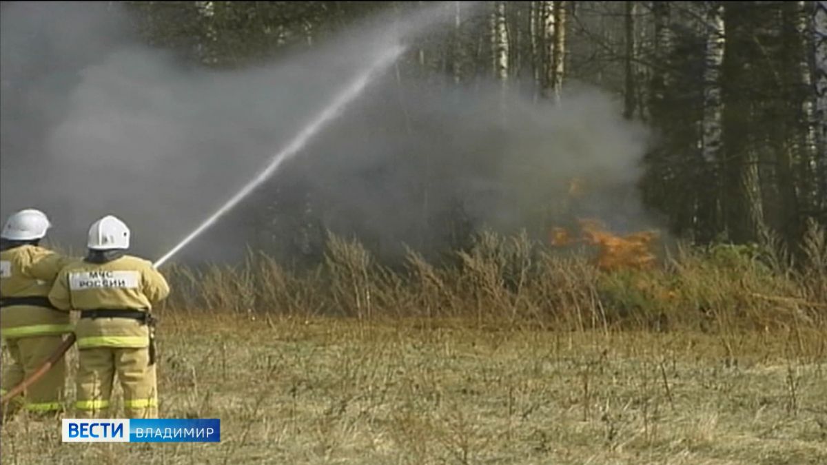 Во Владимирской области готовятся к лесным пожарам