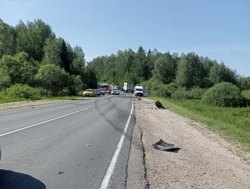 Сотрудники МЧС деблокировали пострадавших в аварии во Владимирской области