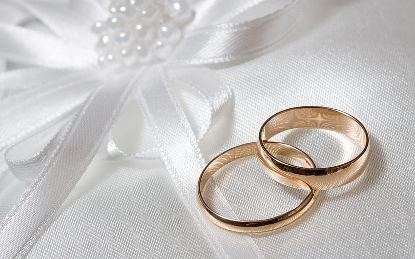 Во Владимирской области молодые люди не спешат вступать в брак