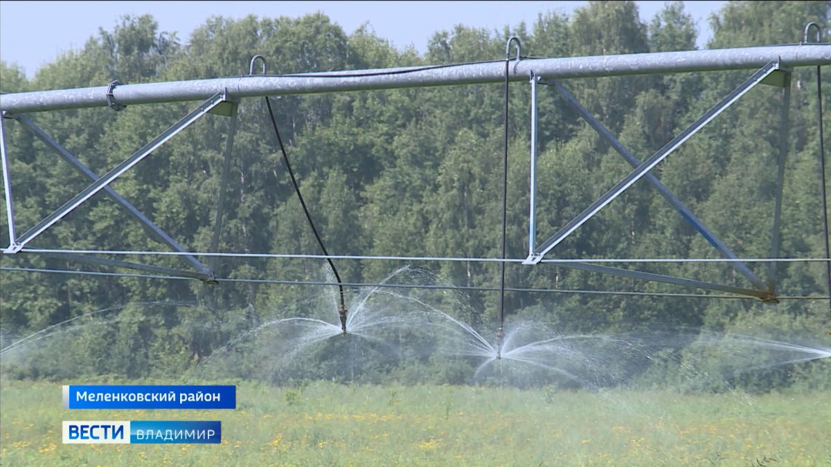 Во Владимирской области помогут пострадавшим от засухи сельхозпроизводителям