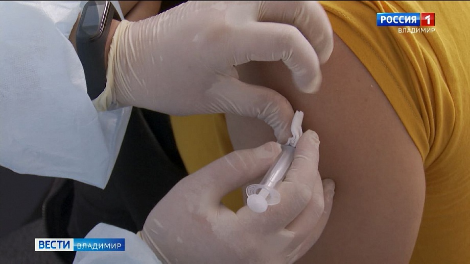 Во Владимире прививку от коронавируса сделали более 44 тысяч человек