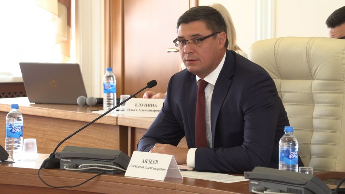 Александра Авдеева, ВРИО губернатора Владимирской области, представили в областной администрации