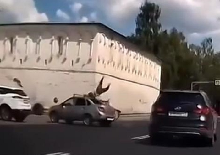 На видео попало, как во Владимирской области при столкновении с автомобилем водителя мотоцикла подбросило выше крыши
