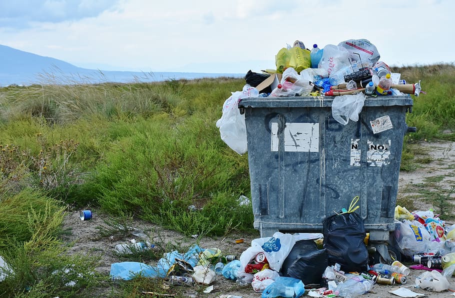 Операторы ТКО Владимирской области нарушают графики вывоза мусора