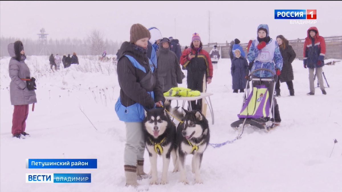 Во Владимирской области прошли гонки на северных собаках