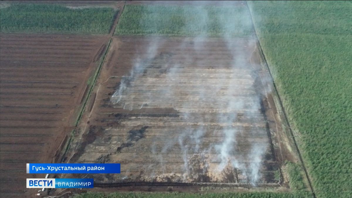 Площадь торфяного пожара во Владимирской области сократилась в два раза