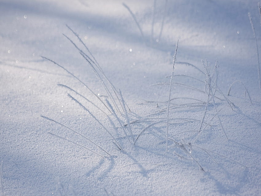 Во Владимирской области 2 февраля, по прогнозам синоптиков, температура опустится до двух градусов﻿ мороза