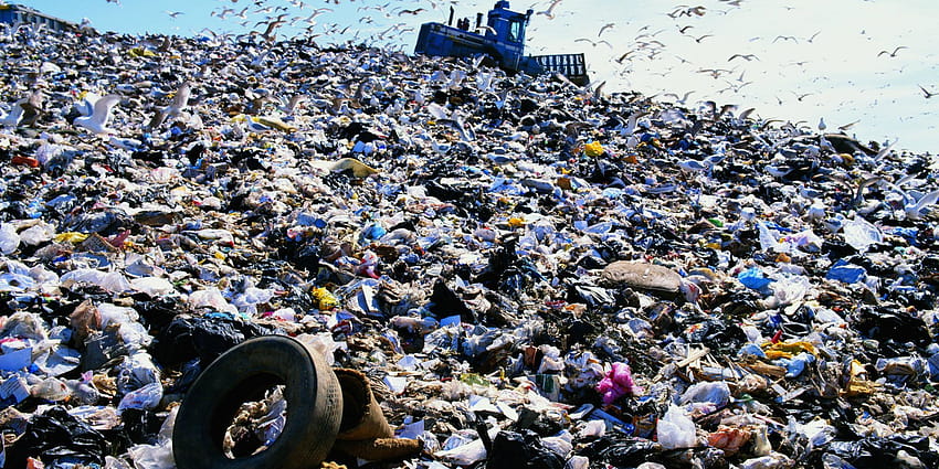 Во Владимирской области прокуратура требует устранить нарушения на мусорном полигоне