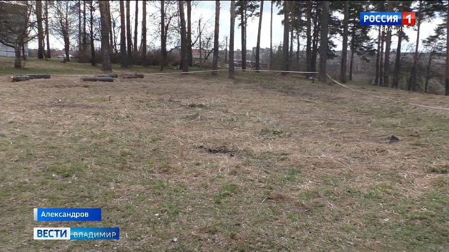 Вынесен приговор взорвавшему гранату в парке жителю Владимирской области
