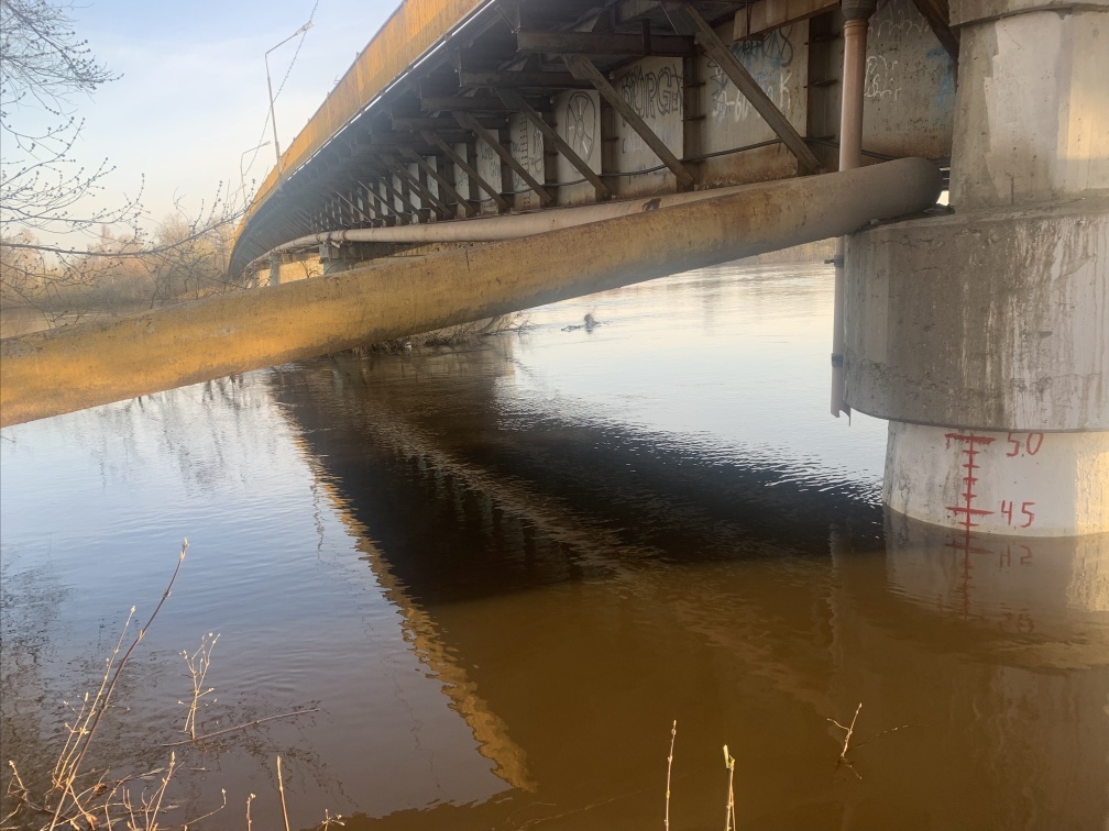 Уровень воды в ипути на сегодня. Разлив Клязьмы во Владимире 2022. Уровень воды в реке. Уровень воды в Клязьме. Половодье на Клязьме.