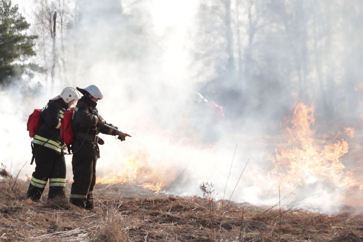 Во Владимирской области за время пожароопасного периода потушили 100 лесных пожаров