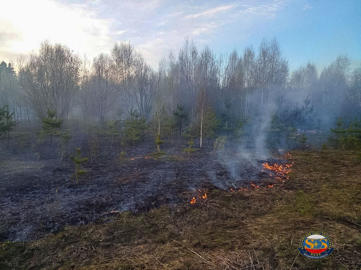 Спасатели потушили ландшафтный пожар в одной из деревень Владимирской области