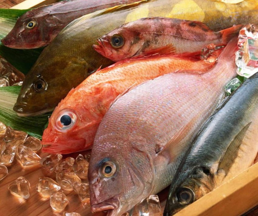 Каждая сотая рыба в магазинах Владимирской области заражена опасными микробами
