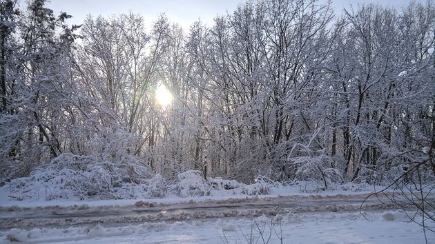 Во Владимирской области, по прогнозам синоптиков, ожидается повышение атмосферного давления