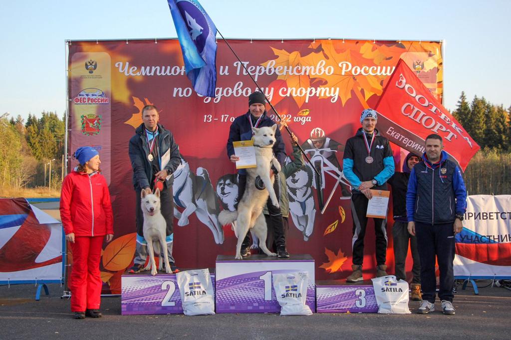 Владимирская команда привезла 8 золотых медалей с Чемпионата России по ездовому спорту на собаках