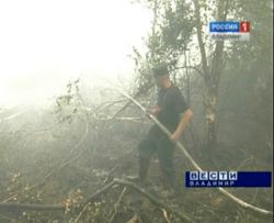 На данный момент в регионе действуют 7 очагов лесных пожаров