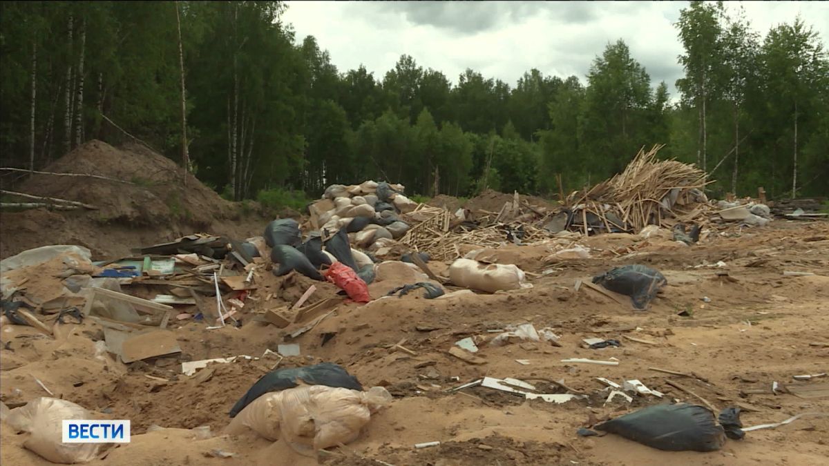 Во Владимирской области 87 миллионов рублей получат муниципальные образования на устранение "мусорных" проблем