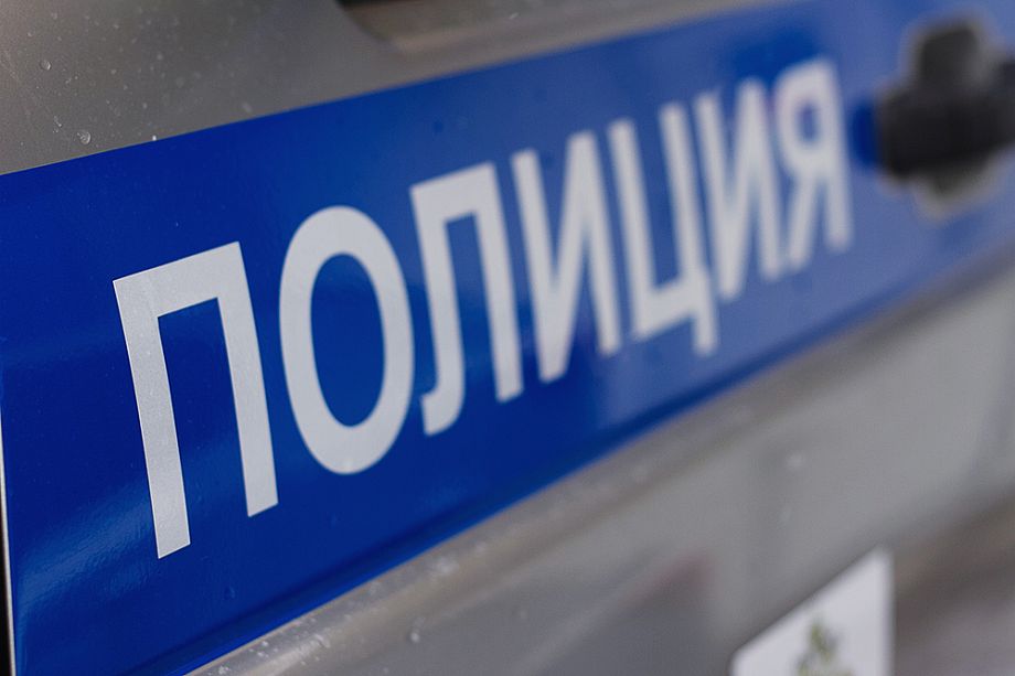 Во Владимирской области ГИБДД по горячим следам задержала молодых людей, укравших из супермаркета 30 флаконов шампуня